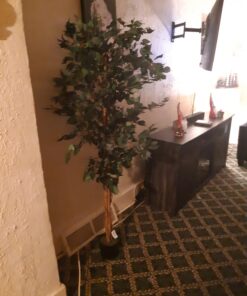 Nearly Natural 6ft. Ficus Artificial Trees, 72in, Green 72 in 35 71fPYG2tuKL
