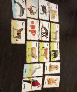 My First Touch and Feel Picture Cards: Animals (My First Board Books) 50 71fPuEzZDNL
