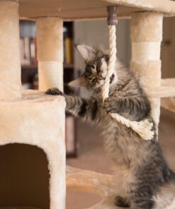 Go Pet Club Classic Cat Tree, Faux Fur Finish, Sisal Rope Scratcher, 62"H, Beige 60 71fQ0NwXLaL