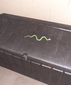 Rhode Island Novelty 14" Rain Forest Snakes | Assorted Designs | Set of 12 30 71fSSPEoNFL