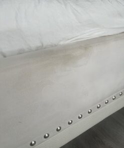 Blue Coral DC22 Upholstery Cleaner Dri-Clean Plus with Odor Eliminator, 22.8 oz. Aerosol 52 71fUpxjXrlL