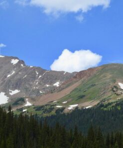 Nikon COOLPIX P900 Digital Camera (Black) 87 71fVS1aHwBL