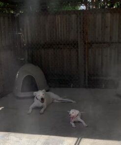 Orbit 30060 - Arizona 3/8" Misting System for Outdoor Cooling 1 10 71fVmPqEGQL