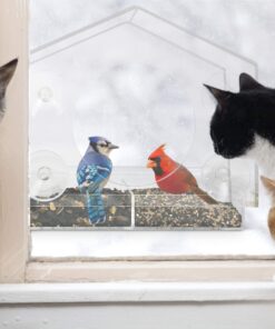 Wild Birds of Joy Bird House Window Bird Feeder with 4 Super Strong Suction Cups & Locking, Sliding Seed Tray, Extra Large, Clear Acrylic, Outdoor Bird Feeders, Outside View of Cardinal and Blue Jay 20 71fZ7ihvVML 2