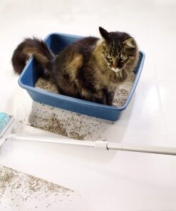 Schticky Lint Roller Set - Reusable & Washable Lint Roller Cleaner for Clothes Sofa Furniture Car Cat Dog Hair - Clean in a Quickly (3 Piece) 3 Piece Set 10 71fdSpmdsfL