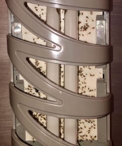 Gardner - Fly Traps Indoor for Home, Indoor Bug Trap, Plug in Bug Catcher Indoor, Fly Catcher Indoor, Gnat Traps for House Indoor Plug in, Fruit Fly Traps for Indoors, Flying Insect Trap Indoor(Grey) Light Grey 29 71feIdR6pTL