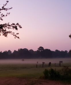 Starbucks K-Cup Coffee Pods—Medium Roast Coffee—Pike Place Roast for Keurig Brewers—100% Arabica—4 boxes (96 pods total) Pike Place 24 Count (Pack of 4) 23 71feSyUhXWL