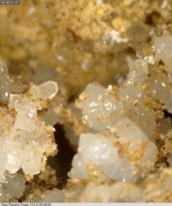 Dino Lite USB Hanheld Digital Microscope, 10x-220x Magnification 0.3MP/1.3MP/5.0MP True Resolution, Windows/Mac/iOS/Android Software Included, Supports PC, Tablet, Mobile Devices 1.3MP MT MS 27 71fensXsqWL