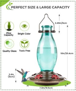 BOLITE 18001 Hummingbird Feeder, Glass Wild Hummingbird Feeders for Outdoors, Retro Edison Bulb Bottle, 25 Ounces, Green, Xmas Gifts for Bird Lovers Retro Bulb 27 71ff7bDsQHL