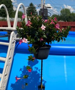 Intex 18ft X 48in Easy Set Pool Set with Filter Pump, Ladder, Ground Cloth & Pool Cover 18 ft x 48 in 39 71fiCxjLt0L