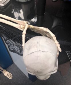 Crazy Bonez Pose-N-Stay Skeleton Original Pose-N-Stay 48 71fiFgpzq2L