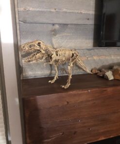 Large Dinosaur Excavation Kit 29 71fitXSLqXL