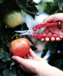 ARS Needle Nose Pruner HP-SE45, Orange 1 6 71fmHWm3RVL