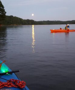 Botepon Battery Operated Kayak Navigation Lights, Marine Led Boat Lights, Boat Bow Lights and Stern Lights for Pontoon Boat Bass Boat Jon Boat Dinghy Kayak Yacht Jet Ski 1Pcs Red, 1Pcs Green 41 71fmJeZm6kL