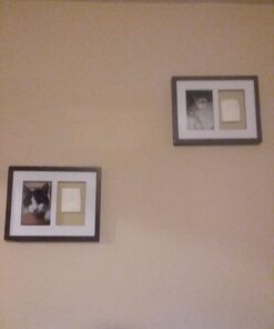 Pearhead Dog Or Cat Paw Prints Pet Wall Frame With Clay Imprint Kit, Pet Sentiment Keepsake Frame, Pet Memorial Picture Frame, Espresso 4 x 6" 40 71fnX7hoEfL