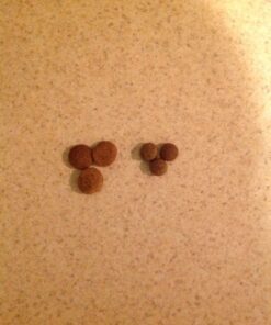 NUTRO NATURAL CHOICE Adult Dry Dog Food, Chicken & Brown Rice Recipe Dog Kibble, 30 lb. Bag 30 Pound (Pack of 1) 37 71fnun7nR0L