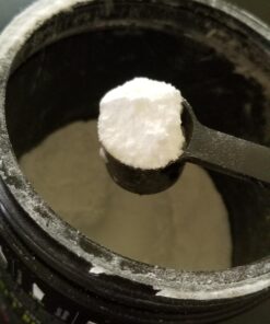 NutraBio L-Glutamine Powder - Amino Acid - Pure Grade: Absolutely no Additives, Fillers or Excipients! - Muscle Recovery Supplement - (500 Grams) 100 Servings (Pack of 1) 16 71foSS7F0wL