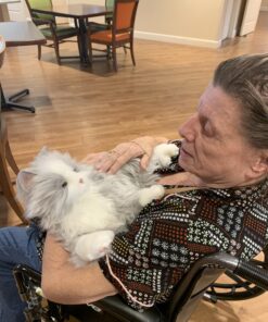 JOY FOR ALL - Silver Cat with White Mitts - Interactive Companion Pets - Realistic & Lifelike 19 71frMrFqNsL