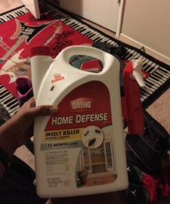 Ortho 0196710 Home Defense MAX Insect Killer Spray for Indoor and Home Perimeter, 1-Gallon (Ant, Roach, Spider, Stinkbug, & Centipede Killer) 20 71fsSFnAb1L