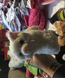 Plush Cat House with Cats - Five (5) Stuffed Animal Cats in Play Kitten House Carrying Case 24 71fscDrng7L