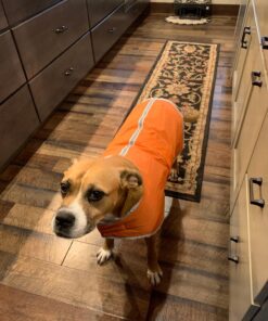Zack & Zoey Nor'easter Blanket Coat for Dogs, 20" Large, Orange 1 L (Neck: 17", Girth: 28", Back: 20") 37 71ftAZ89aSL 3