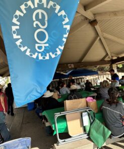 Crown Shades 10x10 Pop up Canopy Outside Canopy, Patented One Push Tent Canopy with Wheeled Carry Bag, Bonus 8 Stakes and 4 Ropes, Blue 47 71fx3HDvvpL