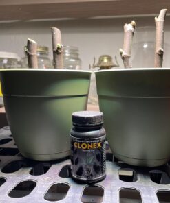 Alternative view of HydroDynamics Clonex Rooting Gel, 100 ml