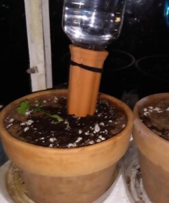 REMIAWY Plant Watering Stakes 6 Pack Automatic Plant Waterers for Vacations, Plant Watering Devices Terracotta Self Watering Spikes for Wine Bottles Great Watering Spikes for Indoor & Outdoor Plants 46 71fyM2lXL4L 2