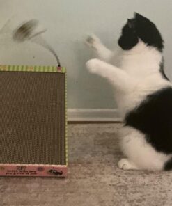 Petmate FAT CAT Big Mama's Scratch 'n Play Ramp Reversible Cardboard Toy 24 71fyYqvQ gL