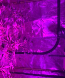 TerraBloom 4 Inch Inline Fan ECMF-100 - Quiet HVAC Grow Tent Fan with Digital Speed Controller- Premium Metal Casing 40-75% Energy Efficient EC Motor - For Large Spaces 4" / 100mm Diameter (141CFM, 21W, Steel Housing) 44 71fyxS0fNzL