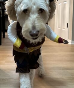 NACOCO Pet Dog Costume Pirates of The Caribbean Style (Large) L Brown 28 71fz4bBKSoL