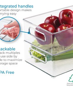 iDesign Plastic Portable Deep Storage Bin with Handles for Organizing Refrigerator, Freezer, Pantry, BPA-Free,8" x 4" x 14.5", Clear 1 Pack 24 71g0cV52B9L