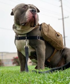 OneTigris Dog Pack Hound Travel Camping Hiking Backpack Saddle Bag Rucksack for Medium & Large Dog (Brown, Large) 11.4"L x 8.7"W x 2.4"H Brown 51 71g16Qi2eVL