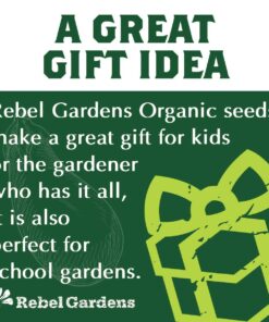 Hot Pepper Seeds - Organic Heirloom Chili Seed Variety Pack for Planting - Cayenne, Jalapeno, Habanero, Poblano, and More 35 71g4fM8gHAL