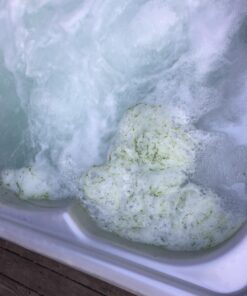 SeaKlear Spa System Flush, 1 Pint Bottle 23 71gAXgaj5AL