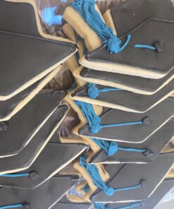 Graduation Cap 2024 Cookie Cutter, 4.5" Made in USA by Ann Clark 41 71gDTSDhUKL