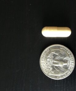 Jarrow Formulas Milk Thistle 150 mg With 30:1 Standardized Silymarin Extract, Dietary Supplement for Liver Function Support, 200 Veggie Capsules, 66-200 Day Supply 200 Servings (Pack of 1) 46 71gHgwUns5L