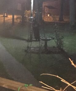 Nature's Way Bird Products CWF3 Cedar Platform Tray Bird Feeder 12" x 12" 12" x 12" 40 71gIU8BEPqL