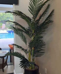 Nearly Natural 5289 6.5ft. Golden Cane Palm Silk Tree,Green 37 71gKslvrnJL