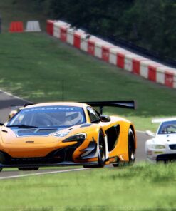 Assetto Corsa - PlayStation 4 Standard Edition 60 71gL0qeFq0L