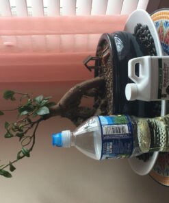 Dyna-Gro BON-008 8 oz Bonsai-Pro Liquid Plant Food, Yellow 24 71gNePWurQL