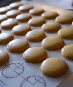 Premium Silicone Baking Mat for Macarons - Professional Fiberglass Baking Liner - Reusable Non-Stick Pastry Mat 31 71gOgEHdirL