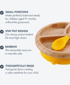 Avanchy Baby Plates Divided Bamboo with Suction for Babies Kids Toddler Food with Silicone Spoon for Feeding (Magenta) Magenta 23 71gQ rWweQL
