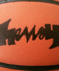 WILSON Evolution Indoor Game Basketballs - Size 5, Size 6 and Size 7 Brown - Game Ball Size 7 - 29.5" 52 71ga5xmJB0L