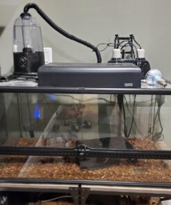 Humidity Controller IHC200 Inkbird Humidistat Mushroom Greenhouse Pre Wired Outlet Dual Stage Humidifier Dehumidifier. 32 71gcWYypGBL