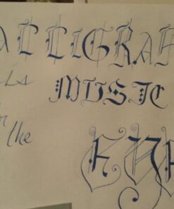 Winsor & Newton Calligraphy Ink, 30ml (1-oz) Bottle, Black 1.0-oz Bottle 14 71gcnRrYQiL