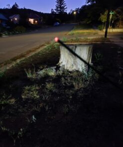 Mosquito Guard 12 Mosquito Repellent Sticks - 2.5 Hrs Protection 1ft, Natural Plant Based Citronella Incense Sticks -Outdoor Patio 22 71geNKUWivL