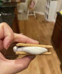 Progressive Prep Solutions Microwave S'mores Maker, Brown/White 32 71ggImuLrWL