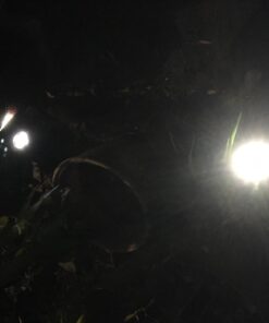 URPOWER Solar Lights Outdoor, Adjustable Solar Spot Lights Outdoor, 2-in-1 Waterproof Solar Landscape Spotlights Wall Light, Dusk-to-Dawn Solar Powered Outdoor Light for Garden, Yard, Pathway (2 Pack) 2 Pack Cool White 63 71gjgRxioQL