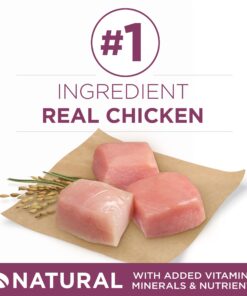 Purina ONE Plus Healthy Puppy Formula High Protein Natural Dry Puppy Food with added vitamins, minerals and nutrients - 8 lb. Bag Dry Food Chicken 8.00 Pound (Pack of 1) 19 71gklDOO5oL